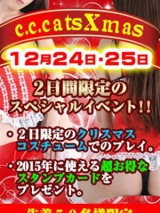 C.C.キャッツ～渋谷フェチM性感～ c.c.cats
クリスマスイベント
